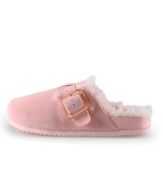 Colors of California Muiltjes