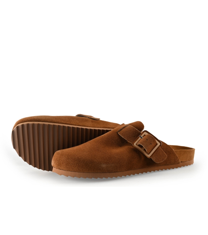 Colors of California Muiltjes