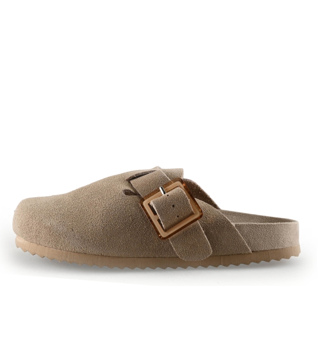 Colors of California Muiltjes