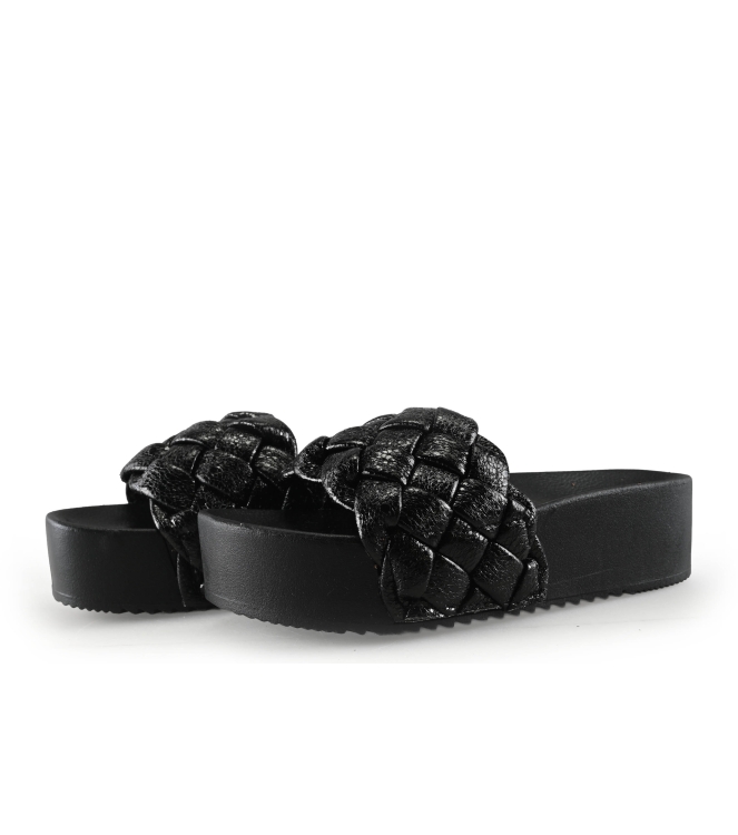 Colors of California Muiltjes