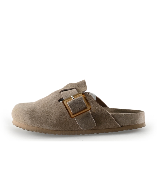 Colors of California Muiltjes