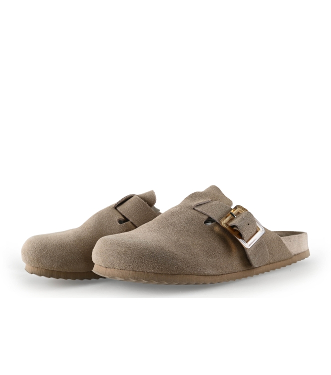 Colors of California Muiltjes