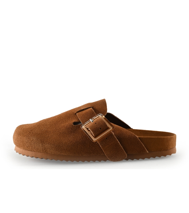 Colors of California Muiltjes