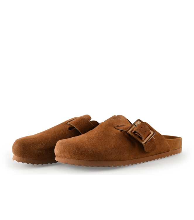 Colors of California Muiltjes