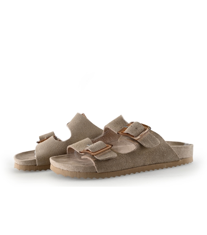 Colors of California Muiltjes