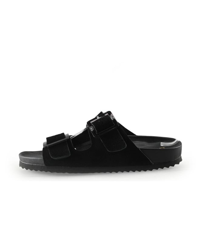 Colors of California Muiltjes