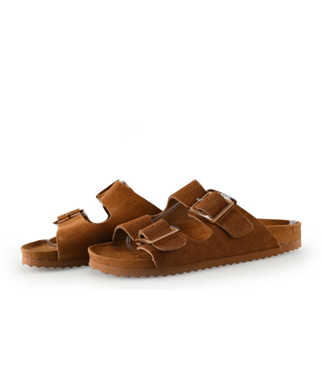 Colors of California Muiltjes