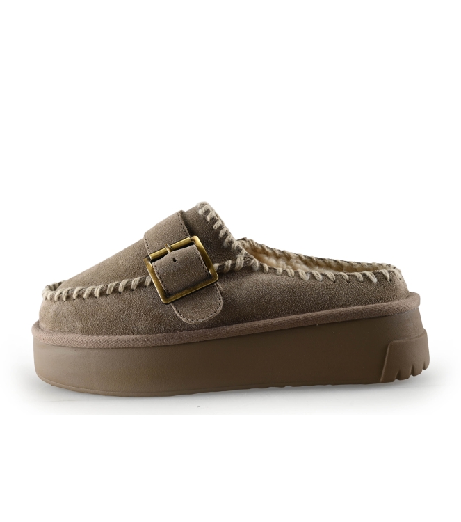 Colors of California Muiltjes