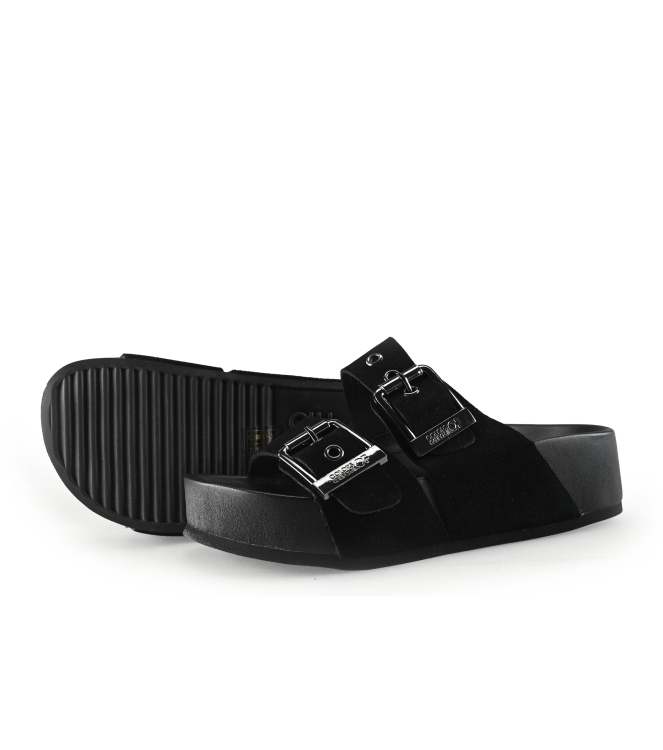 Colors of California Muiltjes