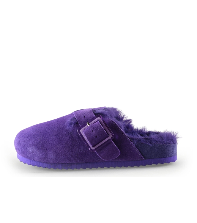 Colors of California Muiltjes