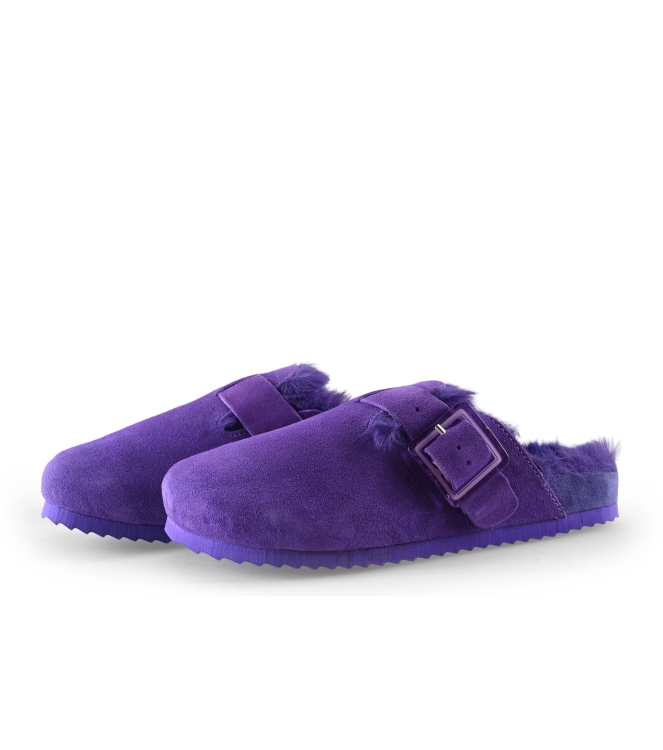 Colors of California Muiltjes