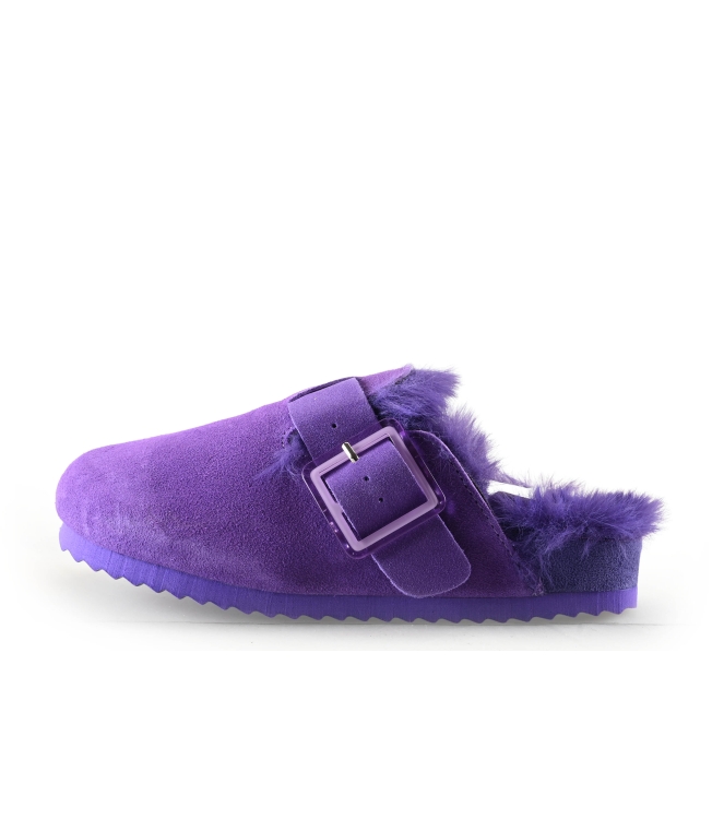 Colors of California Muiltjes