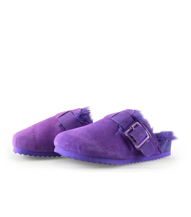 Colors of California Muiltjes