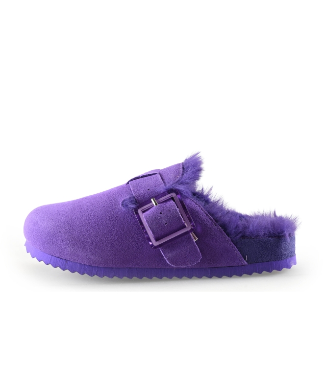 Colors of California Muiltjes