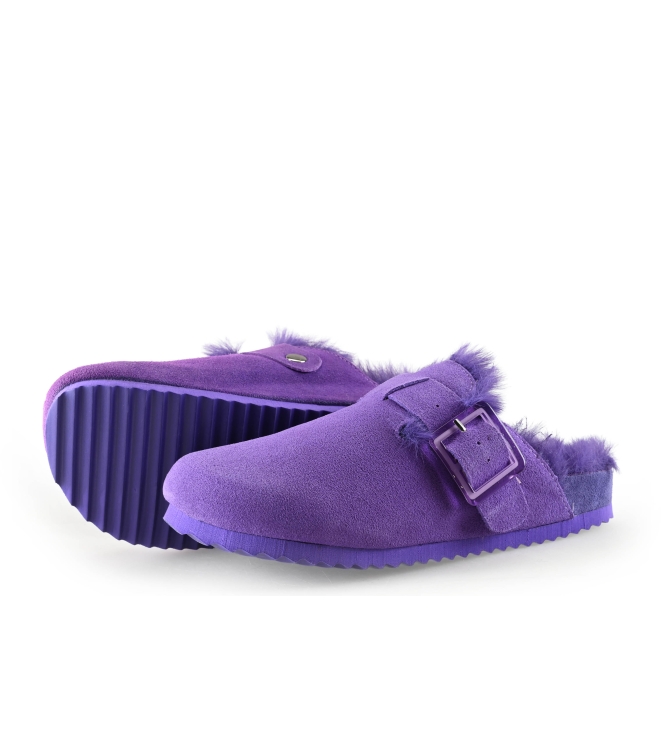 Colors of California Muiltjes