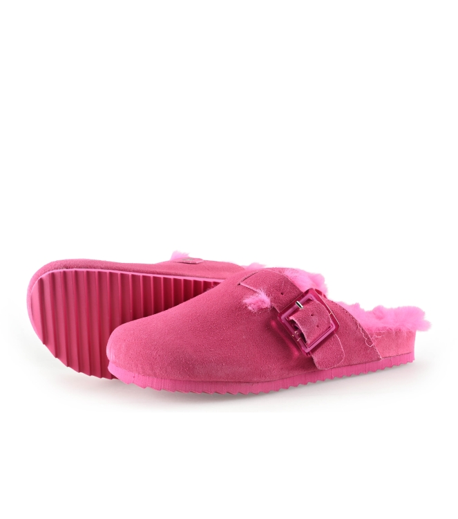 Colors of California Muiltjes