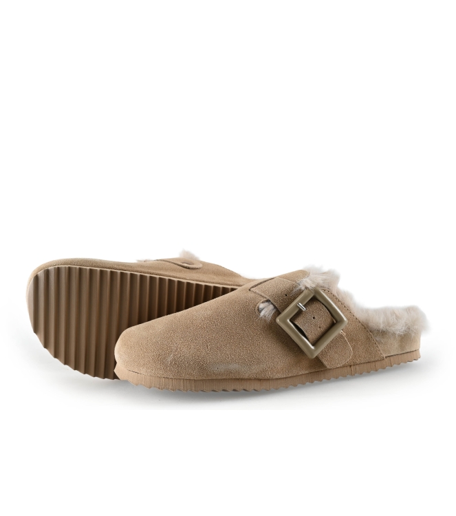 Colors of California Muiltjes