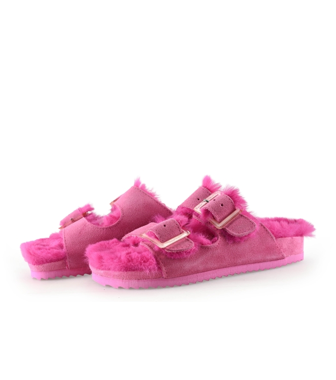 Colors of California Muiltjes