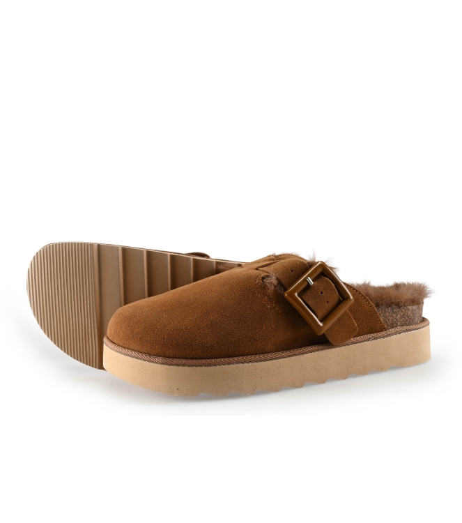 Colors of California Muiltjes