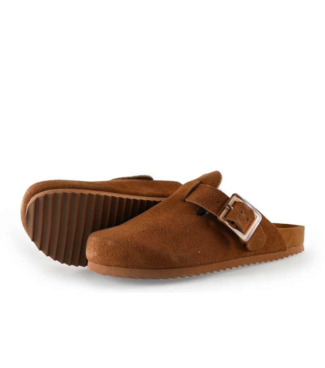 Colors of California Muiltjes