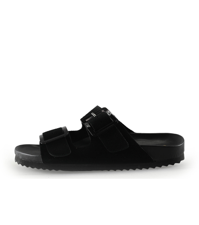 Colors of California Muiltjes