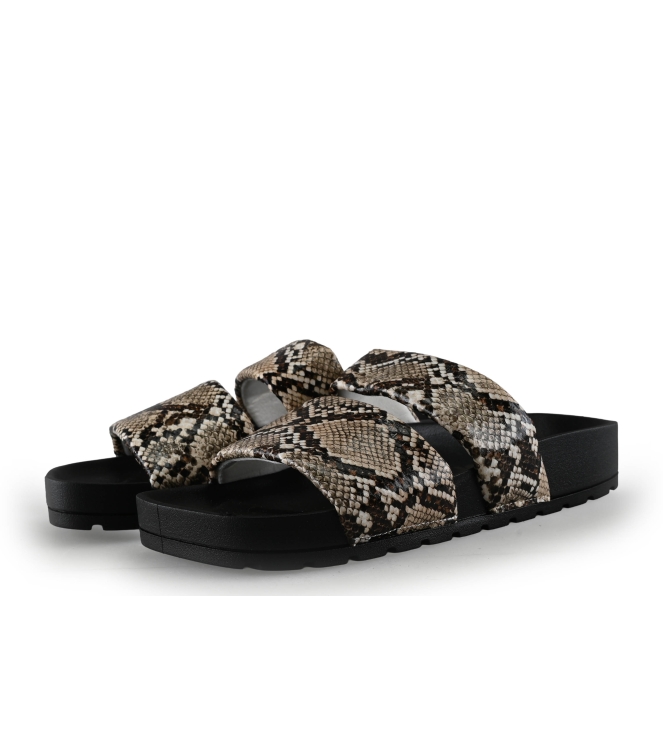 Colors of California Muiltjes