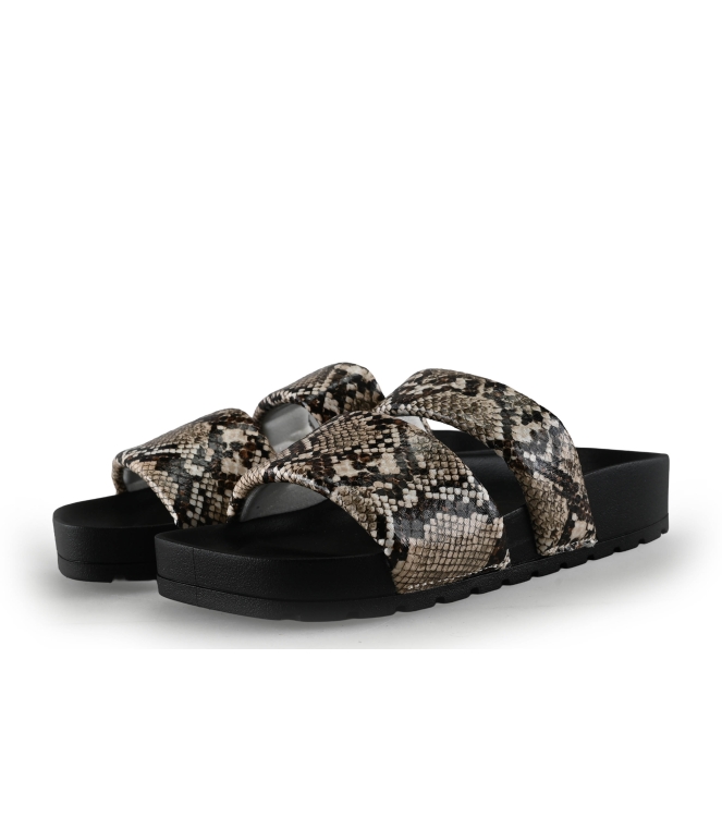 Colors of California Muiltjes