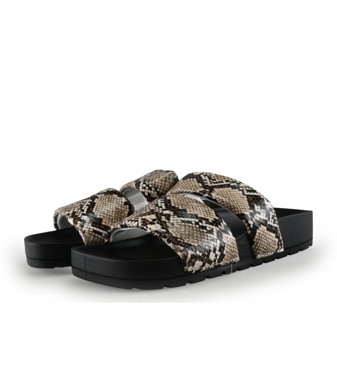 Colors of California Muiltjes