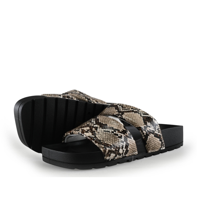 Colors of California Muiltjes