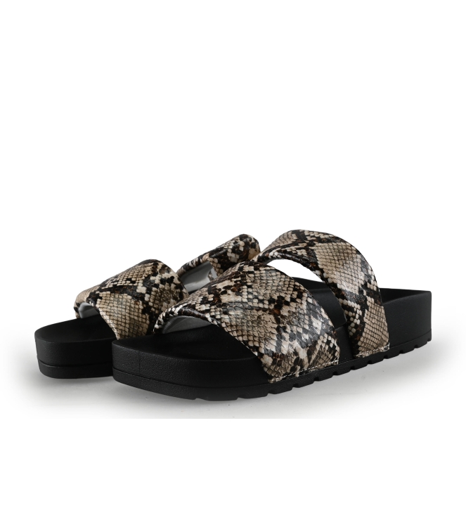 Colors of California Muiltjes