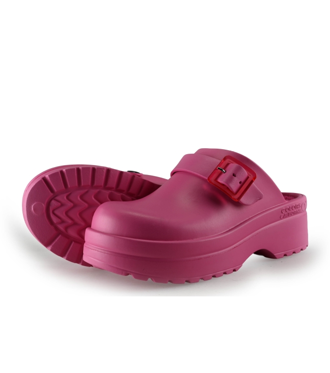 Colors of California Muiltjes