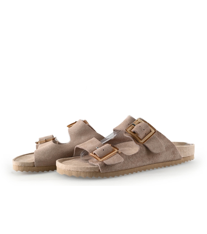 Colors of California Muiltjes