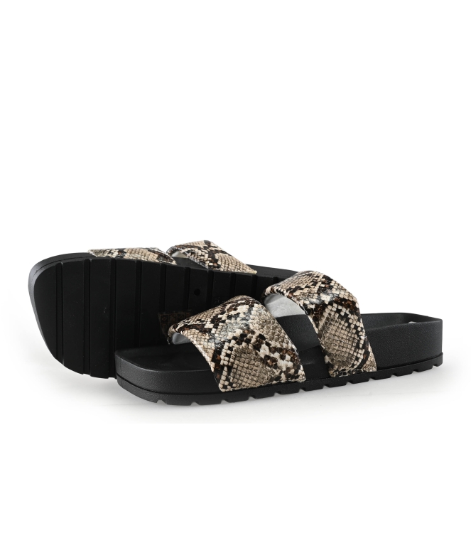 Colors of California Muiltjes