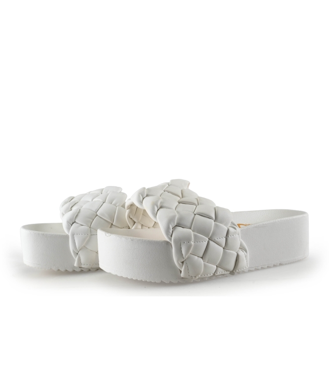 Colors of California Muiltjes