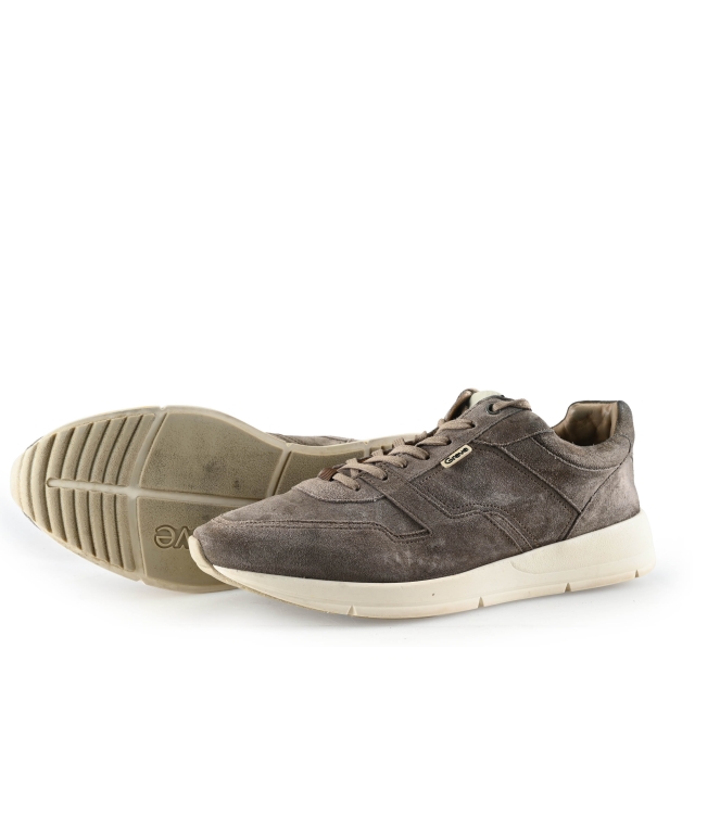 Greve Sneakers