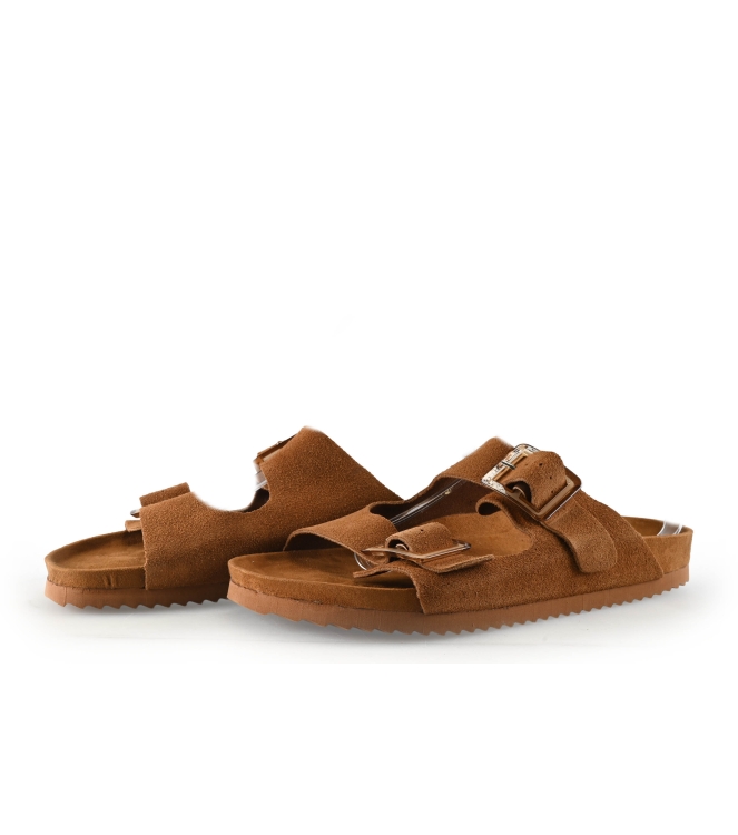 Colors of California Muiltjes