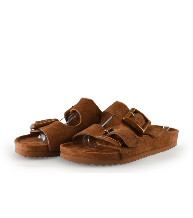 Colors of California Muiltjes