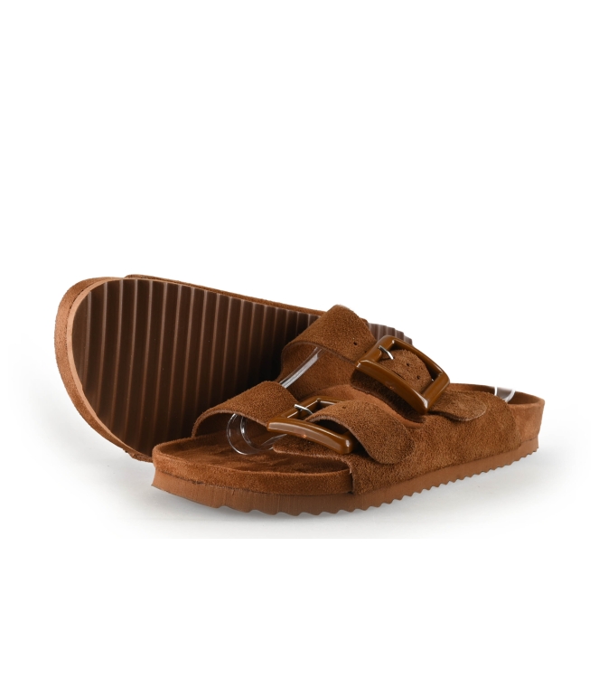 Colors of California Muiltjes