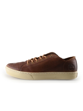 Timberland Sneakers Bruin 334252
 Maat 44
 