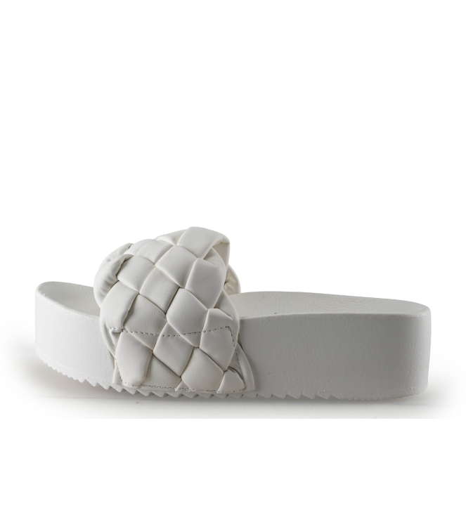 Colors of California Muiltjes