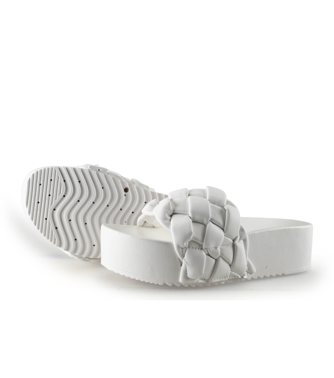 Colors of California Muiltjes