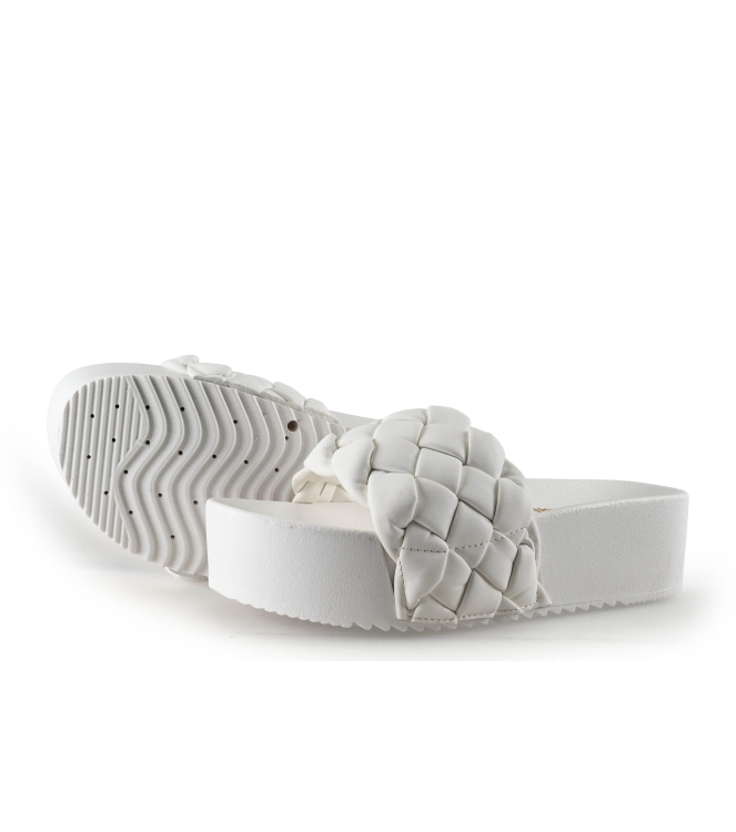 Colors of California Muiltjes