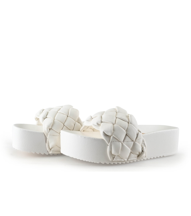 Colors of California Muiltjes