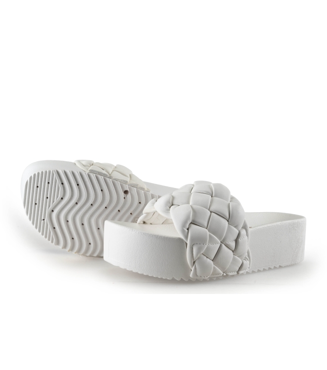 Colors of California Muiltjes