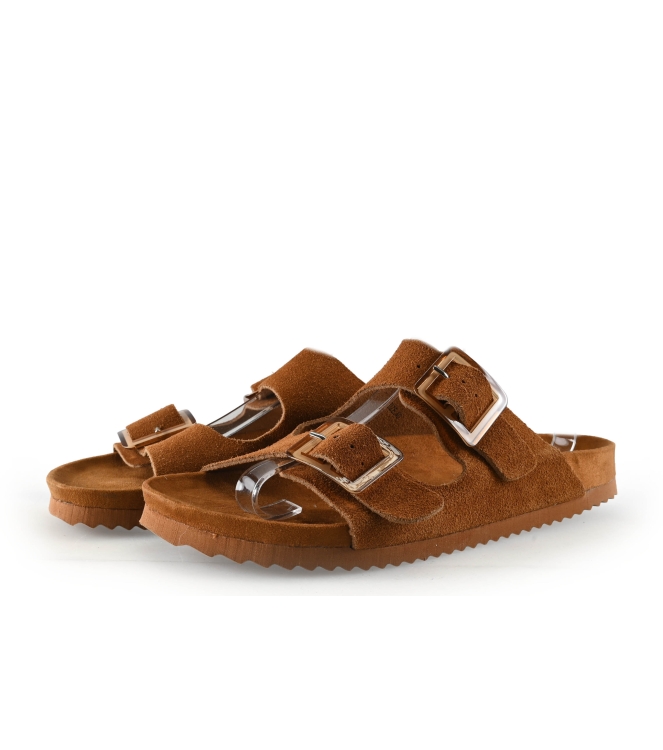 Colors of California Muiltjes