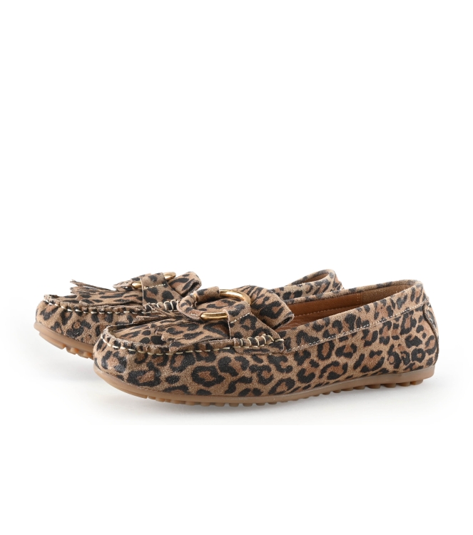 Loff 1881 Instappers