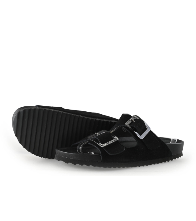 Colors of California Muiltjes