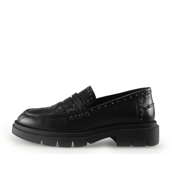 Loff 1881 Instappers