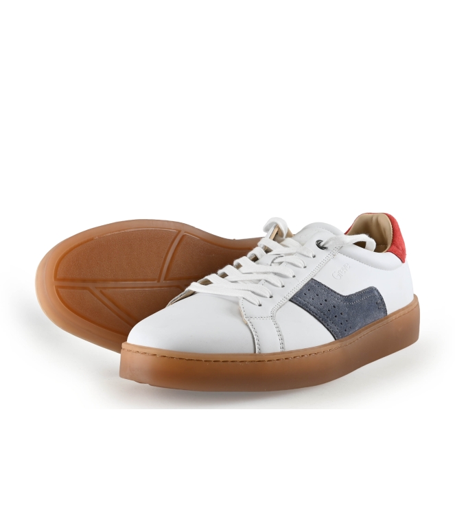 Greve Sneakers