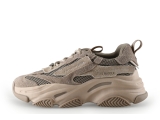 Steve Madden Sneakers